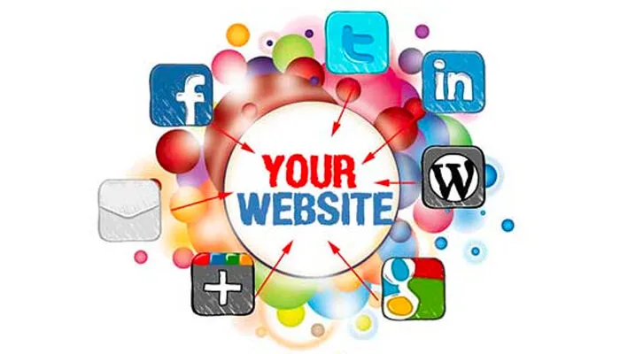 Xây dựng mạng lưới entity rõ ràng, cấu trúc thông minh