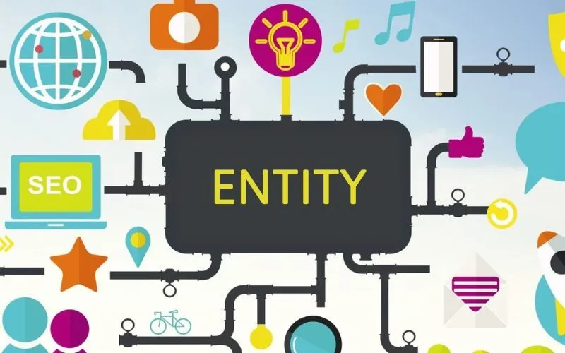 Entity Social đóng vai trò nền tảng
