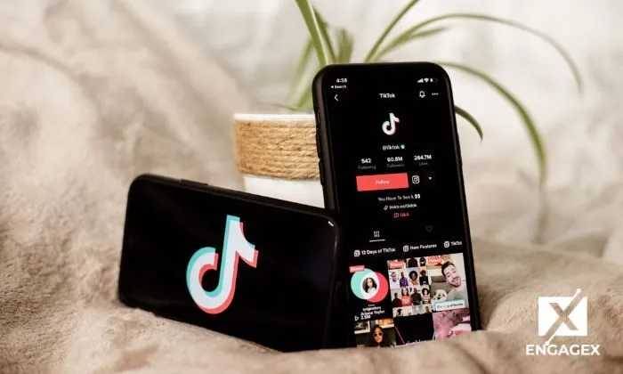 TikTok là một hệ sinh thái sôi động với văn hóa và quy tắc riêng